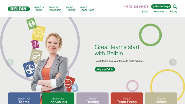 belbin role in a team test online free